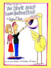 What to Do If the Stork Didn't Leave Instructions: A Treasure of Inspiring Questions to Open the Heart