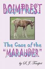 Boimprest...the Case of the "Marauder"