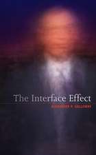 Galloway, A: Interface Effect