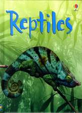 Reptiles