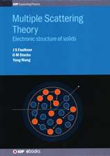 Multiple Scattering Theory