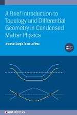 A Brief Introduction to Topology and Differential Geometry in Condensed Matter Physics (Second Edition)