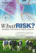 What Risk?: Paperback edition