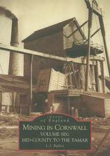 Mining in Cornwall, Volume Six: Mid-Cornwall to the Tamar