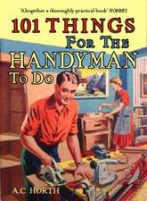 Horth, A: 101 Things for the Handyman to Do