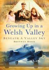 Hosie, B: Growing Up in a Welsh Valley: Beneath a Valley Sky