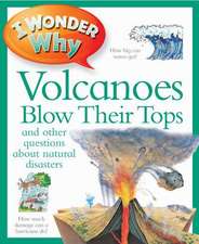 Greenwood, R: I Wonder Why Volcanoes Blow Their Tops