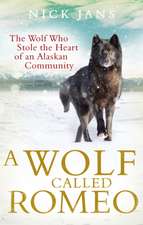 Jans, N: Wolf Called Romeo