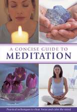 A Concise Guide to Meditation