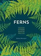 Ferns