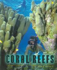 On the Coral Reefs