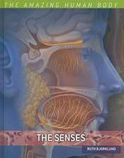 The Senses