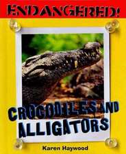 Crocodiles and Alligators