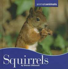 Squirrels