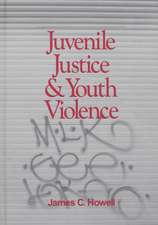 Juvenile Justice and Youth Violence