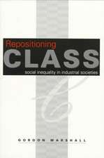 Repositioning Class: Social Inequality in Industrial Societies