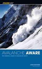 Avalanche Aware