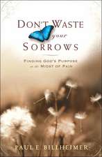 Don't Waste Your Sorrows: Finding God's Purpose in the Midst of Pain