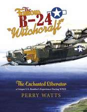 The Famous B-24 "Witchcraft": The Enchanted Liberatora Unique U.S. Bomber's Experience During WWII