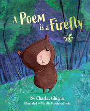 A Poem Is a Firefly