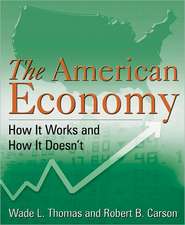 The American Economy: How it Works and How it Doesn't