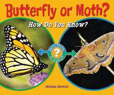 Butterfly or Moth?: How Do You Know?