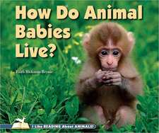 How Do Animal Babies Live?