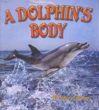 A Dolphin's Body