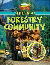 Life in a Forestry Community