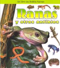 Ranas y Otros Anfibios