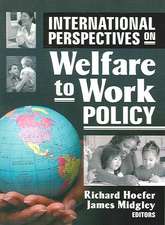 International Perspectives on Welfare to Work Policy