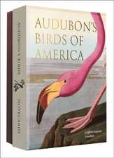 Audubon's Birds of America