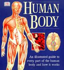 The Human Body