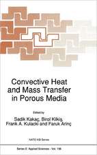 Convective Heat and Mass Transfer in Porous Media