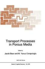 Transport Processes in Porous Media