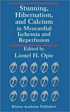 Stunning, Hibernation, and Calcium in Myocardial Ischemia and Reperfusion