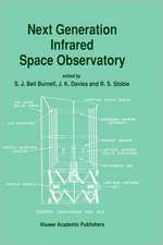 Next Generation Infrared Space Observatory