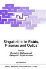 Singularities in Fluids, Plasmas and Optics