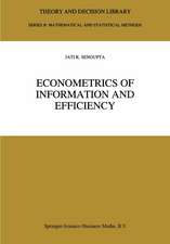 Econometrics of Information and Efficiency