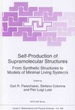 Self-Production of Supramolecular Structures: From Synthetic Structures to Models of Minimal Living Systems