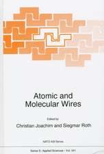 Atomic and Molecular Wires