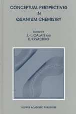 Conceptual Perspectives in Quantum Chemistry