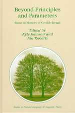 Beyond Principles and Parameters: Essays in Memory of Osvaldo Jaeggli