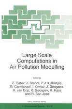 Large Scale Computations in Air Pollution Modelling