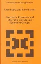 Stochastic Processes and Operator Calculus on Quantum Groups