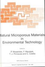 Natural Microporous Materials in Environmental Technology