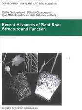 Recent Advances of Plant Root Structure and Function: Proceedings of the 5th International Symposium on Structure and Function of Roots