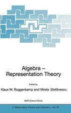 Algebra - Representation Theory