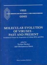 Molecular Evolution of Viruses — Past and Present: Evolution of Viruses by Acquisition of Cellular RNA and DNA