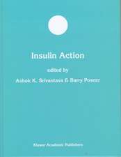 Insulin Action